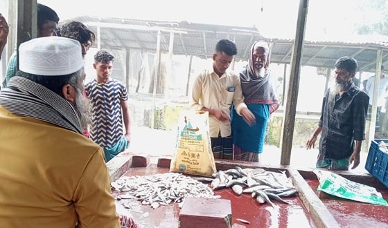 চাঁদপুরে নিষেধাজ্ঞা অমান্য করে প্রকাশ্যে জাটকা বিক্রি