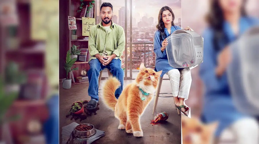 ছোট্ট বিড়ালকে ঘিরে মানবিক গল্প, আসছে ‘লাভ সিটার’