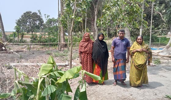 কলারোয়ায় পৈত্রিক জমি জবর দখল ও মারপিটের অভিযোগ