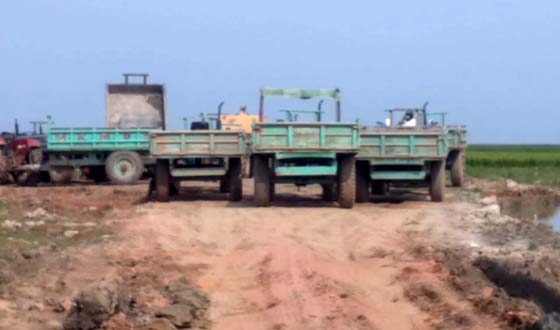 নিকলীতে ধানী জমির টপসয়েল মাটি যাচ্ছে বিভিন্ন ইট ভাটায়