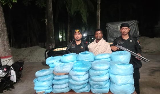 কচুয়ায় ৬৬ কেজি গাঁজাসহ পিকআপ জব্দ, আটক ১