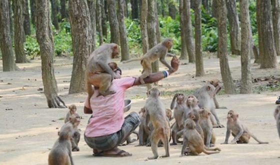 ময়মনসিংহে ঘুরে আসুন গ্রামীণ পর্যটন স্পটগুলো