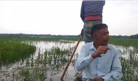টানা বৃষ্টিপাতে ফসলি জমিতে জলাবদ্ধতায় কৃষকেরা বিপাকে