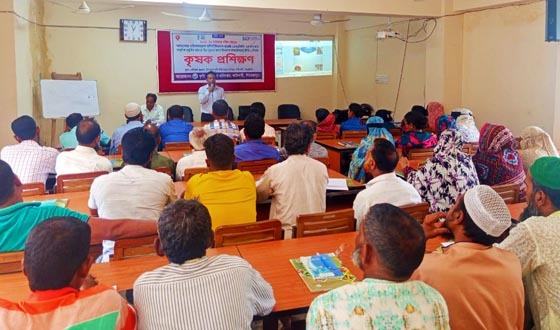 কাউখালীতে দিনব্যাপী কৃষক প্রশিক্ষণ অনুষ্ঠিত