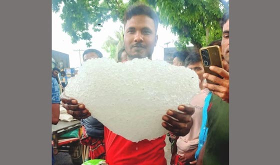 কালীগঞ্জে বেগুন ক্ষেতে মিলল বিশাল শিলাখন্ড