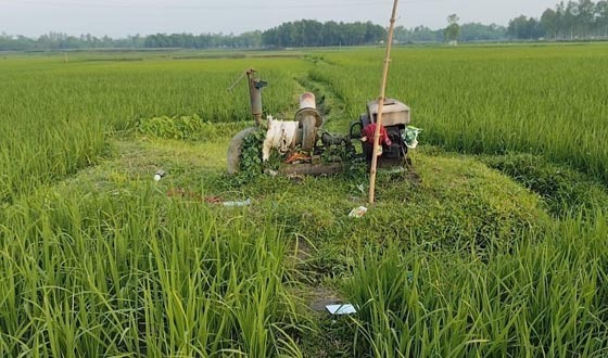 জামালপুরে জ্বালানি তেল সংকটে বোরো আবাদ নিয়ে দুশ্চিন্তায় কৃষকরা