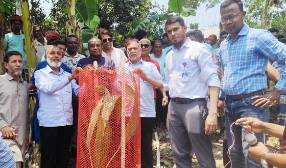 পাংশায় খাল পুনঃখনন কর্মসূচির উদ্বোধন