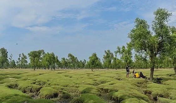 দোলনায় বসাকে কেন্দ্র করে সংঘর্ষ, আহত ৪
