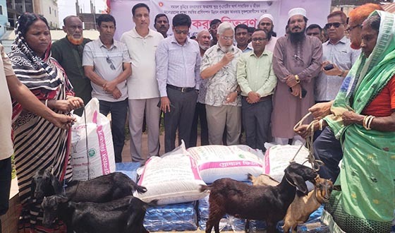মাধবপুরে ২৬৬ চা-শ্রমিক পরিবারের মধ্যে উপকরণসহ ছাগল বিতরণ