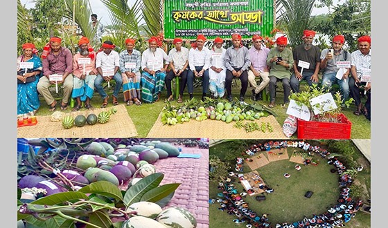 কলাপাড়ায় কৃষি উৎপাদক শ্রেণির শ্রেষ্ঠ কৃষকের সাথে আড্ডা শীর্ষক ব্যতিক্রমধর্মী অনুষ্ঠান