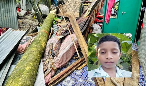 মতলবে ঘূর্ণিঝড়ে ঘরের ওপর গাছ উপড়ে পড়ে শিশুর মৃত্যু