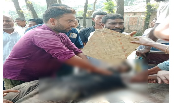 কুড়িগ্রামে গাছ কাটার সময় বিদ্যুৎস্পৃষ্ট হয়ে শ্রমিকের মৃত্যু