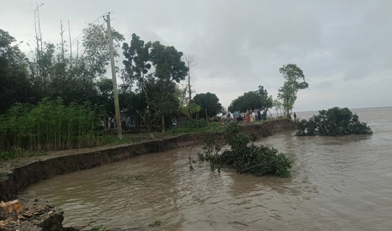 বাঘায় পদ্মার পাড় ধসে দীর্ঘ হচ্ছে ভাঙনের চিত্র
