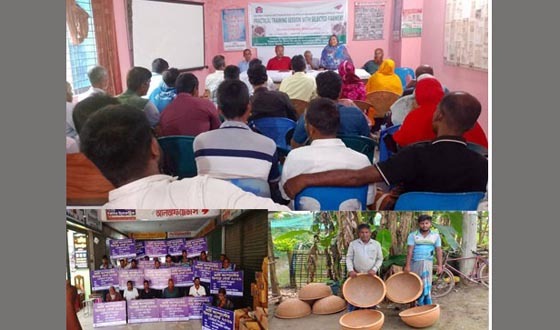 কালীগঞ্জে ৫০ নতুন উদ্যোক্তাকে ভার্মি কম্পোস্ট তৈরির প্রশিক্ষন