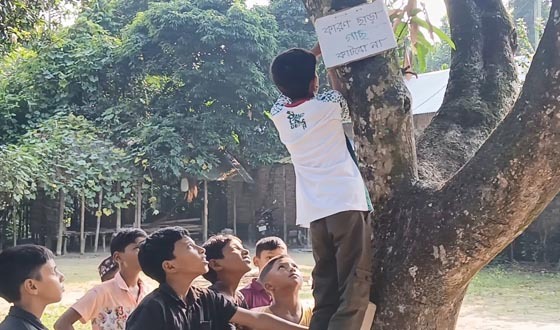কুড়িগ্রামে গাছে গাছে মুগ্ধর বাণি, মুগ্ধতা ছড়াচ্ছে চারপাশে