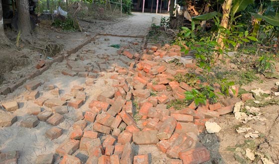 বিদ্যালয় ও মন্দিরে যাতায়াতের রাস্তার ইট তুলে ফেলার অভিযোগ