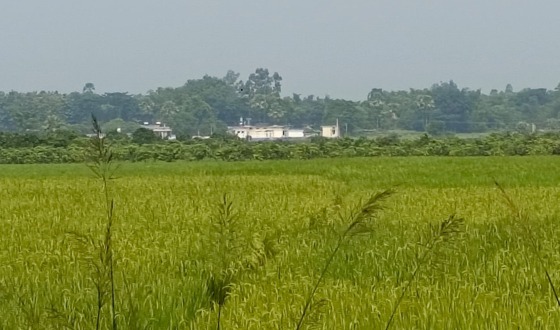 সাপাহারে সোনাডাঙ্গা সীমান্তে নারী সহ ৪ জনকে পুশইন চেষ্টা প্রতিহত করল বিজিবি