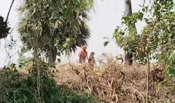 ফুলবাড়ী সীমান্তে নারী ও শিশুকে পুশইনের অভিযোগ, শূন্যরেখায় অবস্থান