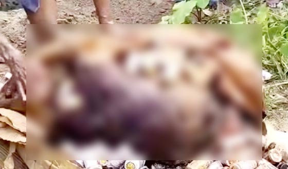 ঢাকায় যুবককে হত্যা নীলফামারীতে পুতে রাখা লাশ উদ্ধার, আটক ১