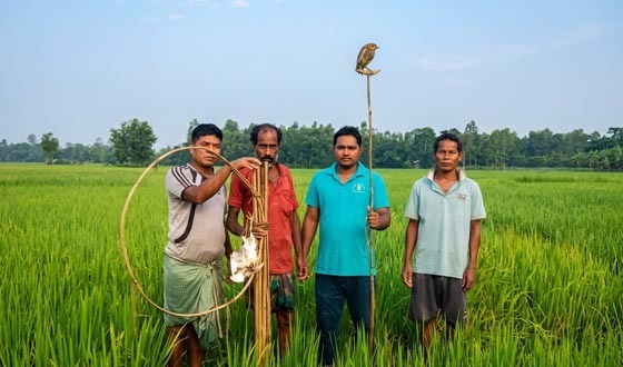 নালিতাবাড়ীতে শিকারির কাছ থেকে বক উদ্ধার