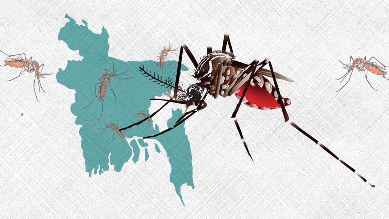 ডেঙ্গুতে আরও ৫ মৃত্যু, এক দিনে হাসপাতালে ১ হাজার ৯৩৫