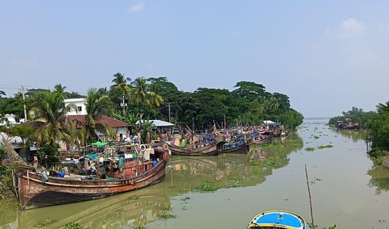 মা ইলিশ রক্ষায় ২২ দিনের নিষেধাজ্ঞা আজ শুরু