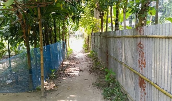 ফুলবাড়ীতে শতবছরের পুরনো রাস্তা দখল, জনদুর্ভোগ