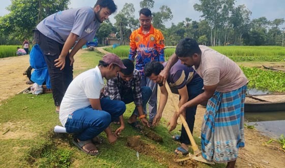 সাপাহারে জবই বিলে তালবীজ রোপণ কর্মসূচি অনুষ্ঠিত