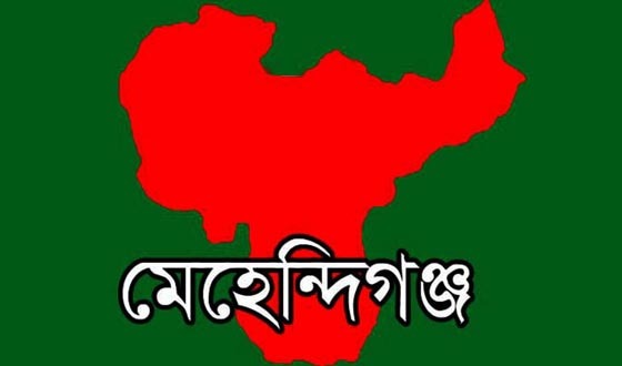মেহেন্দিগঞ্জে ভুয়া ট্রেড লাইসেন্স তৈরি করে সারের ডিলারশিপ পাওয়ার অভিযোগ