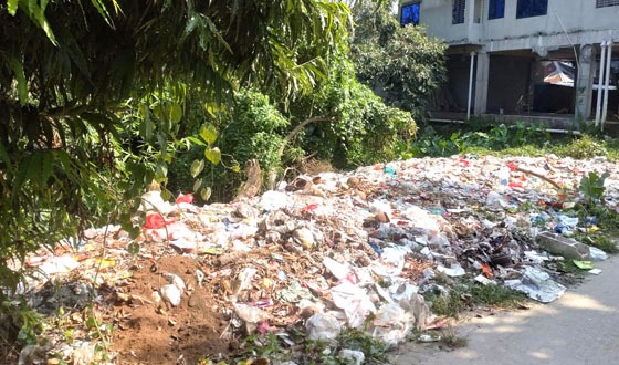 চাটমোহরে পৌরবর্জ্যে নাকাল নাগরিক জীবন