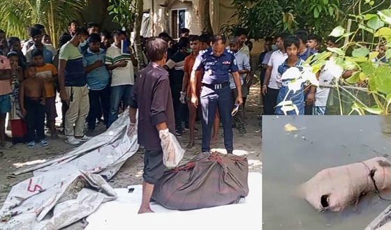 মতলবে অজ্ঞাত নারীর মরদেহ উদ্ধার