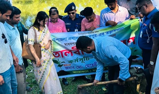 মাধবপুরে বিভিন্ন সড়কে প্রায় ৭ হাজার তালবীজ রোপণ