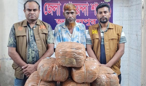 জামালপুরে ২০ কেজি গাঁজাসহ মাদক ব্যবসায়ী গ্রেপ্তার