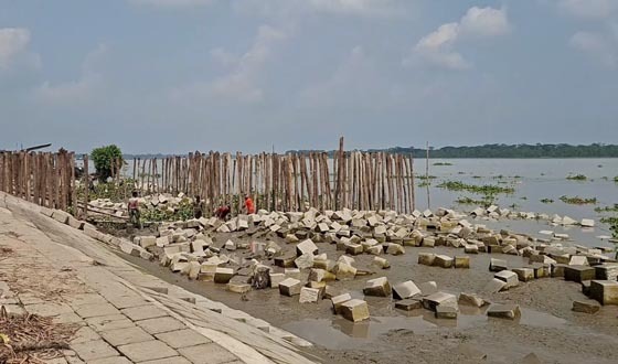 বাগেরহাটে দীর্ঘ ১৯ বছর পরে চালু হচ্ছে সন্যাসী-পিরোজপুর ফেরি
