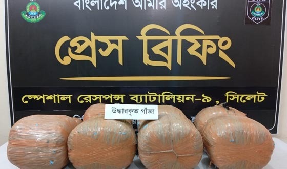 মাধবপুরে ট্রাক থেকে ৪৫ কেজি গাঁজা উদ্ধার, গ্রেপ্তার ১