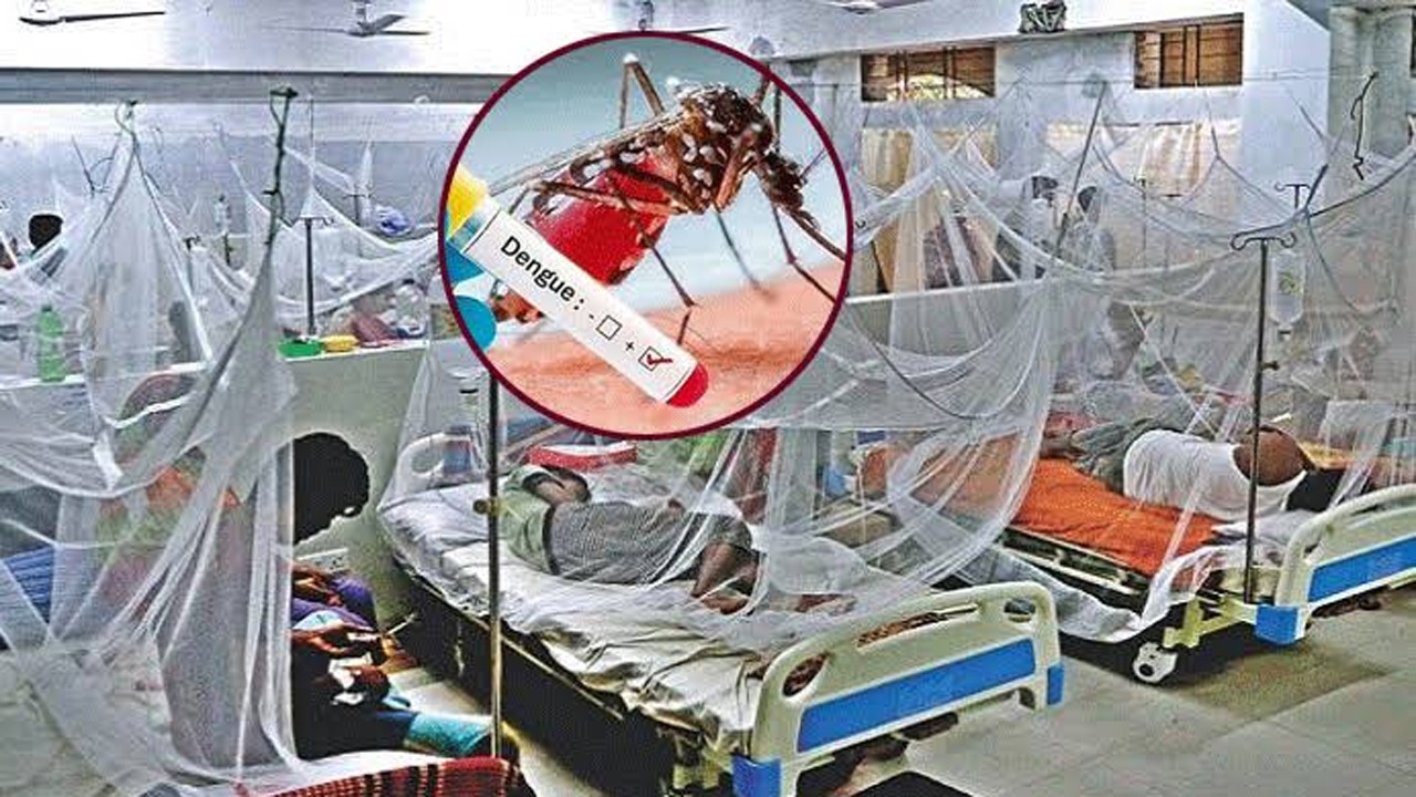 গত ২৪ ঘন্টায় ডেঙ্গুতে আরও ৭ জনের মৃত্যু, হাসপাতালে ভর্তি ১৮৭২