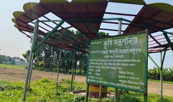 সেচের অভাবে দুশ্চিন্তায় শতাধিক কৃষক কনভার্টার চুরি, বন্ধ পাতকুয়া