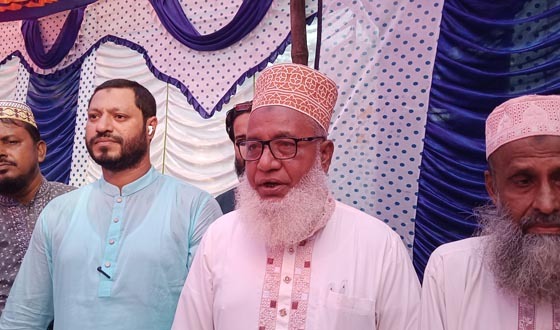মোল্লাহাটে দুর্গাপূজার মণ্ডপ পরিদর্শনে দুই সংসদ সদস্য
