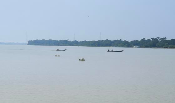বাবুগঞ্জে মা ইলিশ রক্ষা অভিযানে বাজেট-জনবল সংকট, নদীতে কমছে মাছ।