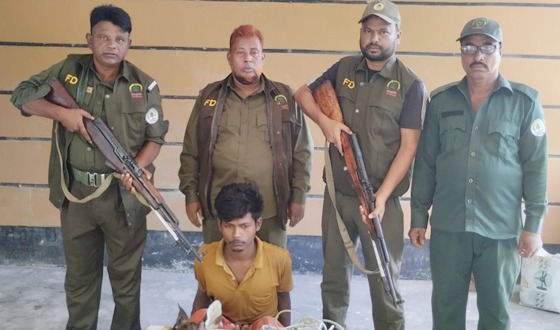 সুন্দরবনে হরিণ শিকার, খন্ডিত মাথা ভুড়ি সহ আটক-১