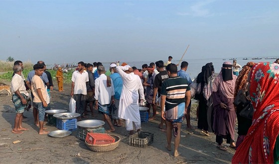 নিষেধাজ্ঞার মধ্যেই মাদারীপুরে ইলিশ শিকার