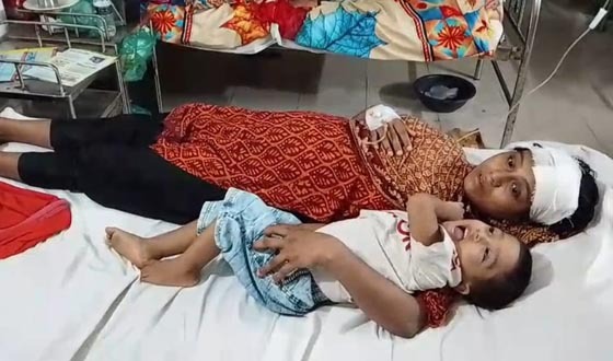 গজারিয়ায় হামলা ও ঘরবাড়ি ভাঙচুর, অন্তঃসত্ত্বা নারীসহ আহত ৭