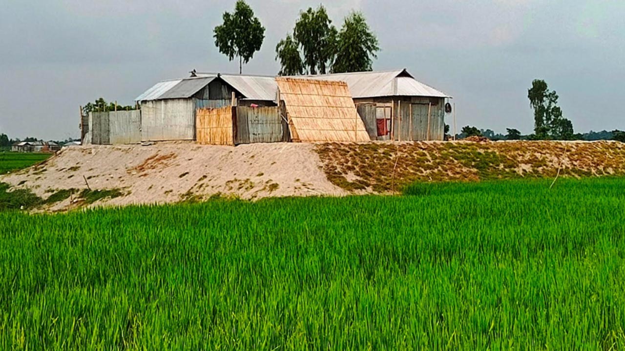 দেশে প্রতি বছর কমছে কৃষিজমি বাড়ছে খাদ্য নিরাপত্তার ঝুঁকি