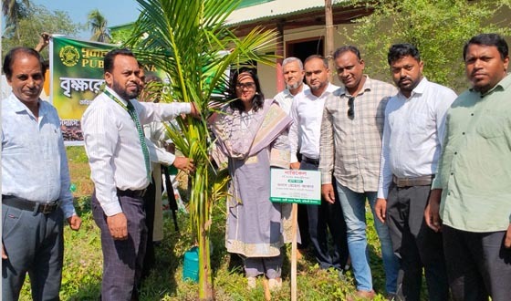 পরিবেশের ভারসাম্য রক্ষায় কাউখালীতে পূবালী ব্যাংকের চারা বিতরণ ও রোপণ