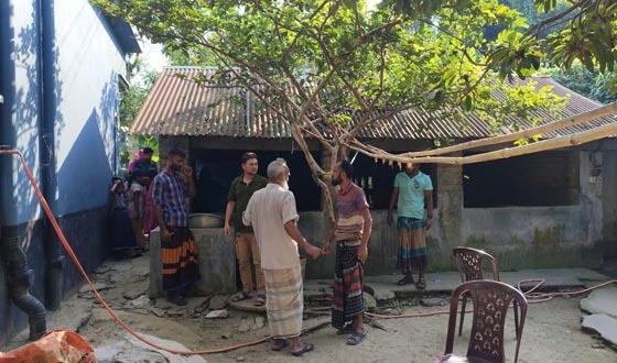 কালীগঞ্জে রাতের আঁধারে খামারীর ৩ গরু চুরি