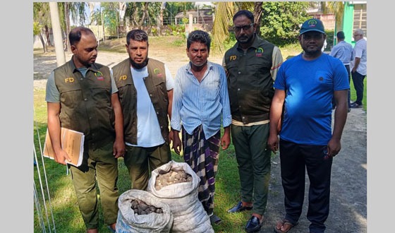 কয়রায় অবৈধ ঝিনুক পাচারকালে আটক-১