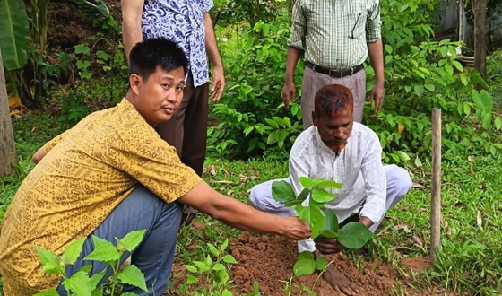 হাটহাজারীর মির্জাপুরে এলজিইডির উদ্যোগে  বৃক্ষরোপণ কর্মসূচির উদ্বোধন