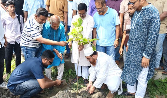 কুড়িগ্রামে বিএনপির ৫ শতাধিক বৃক্ষরোপণ