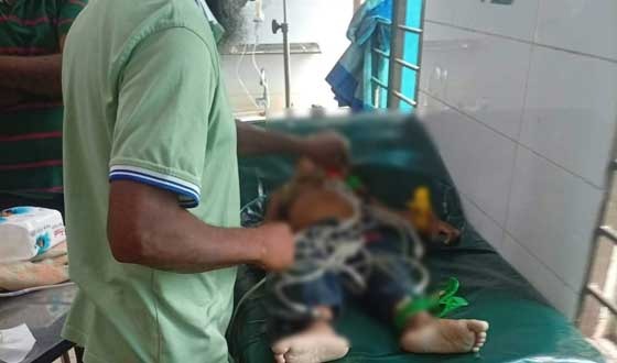 মতলব উত্তরে ডোবায় পড়ে শিশুর মর্মান্তিক মৃত্যু