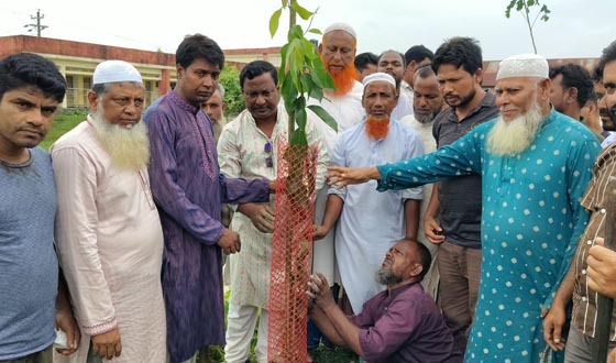 কলমাকান্দায় বিএনপি নেতা পলাশের বৃক্ষরোপণ কর্মসূচি